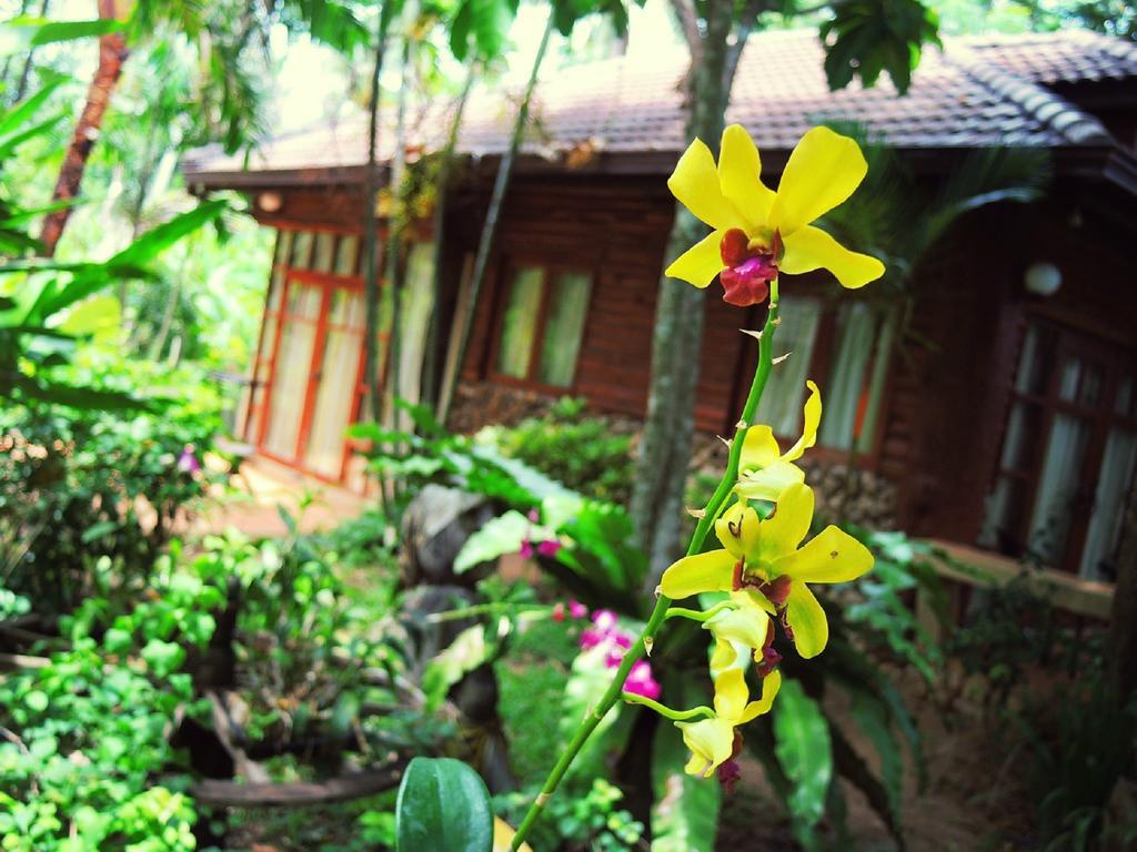 Polina Park Hotel Mae Nam Eksteriør bilde